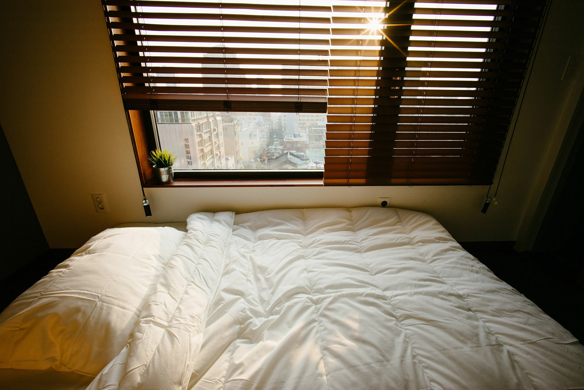 Morning Dew Guesthouse Busan Dış mekan fotoğraf